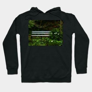 Secluded Seating Hoodie